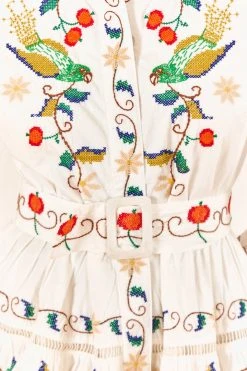 FARM RIO Pitanga Embroidered Belted Mini Dress