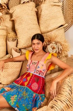 FARM RIO Color Block Embroidered Mini Dress New In